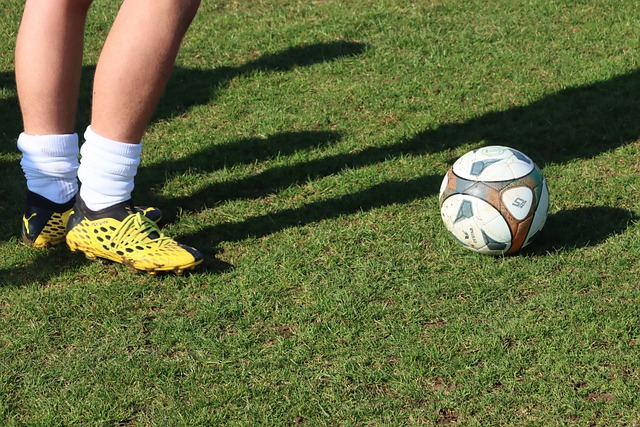 img1.png
